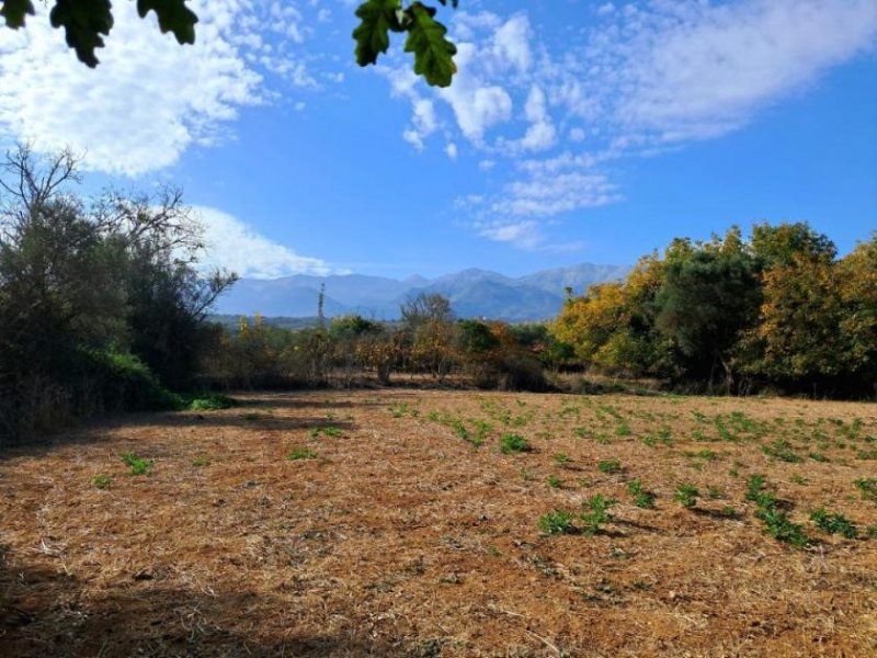 Armeni bei Chania MIT VIDEO: Kreta, Armeni bei Chania: Erstklassiges Baugrundstück mit Bergblick, Obstgarten und Strandnähe Grundstück kaufen